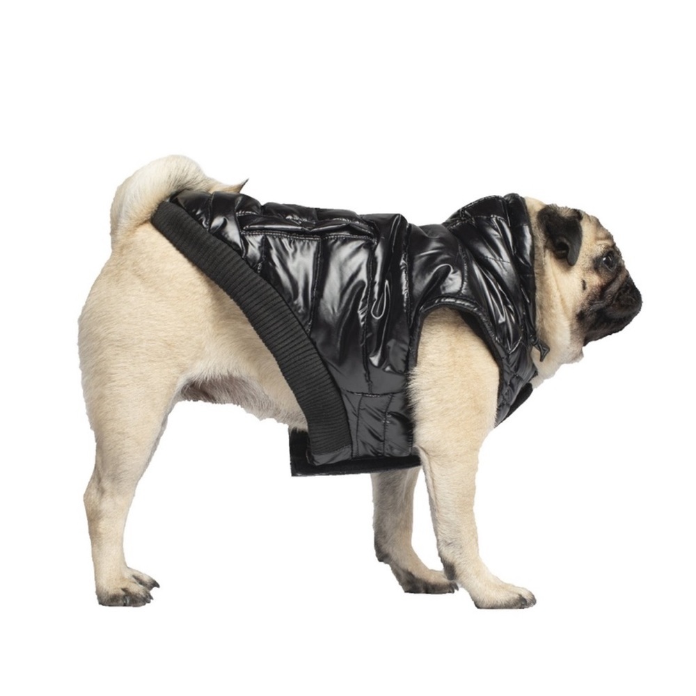 Dog Clothes (Size 18)